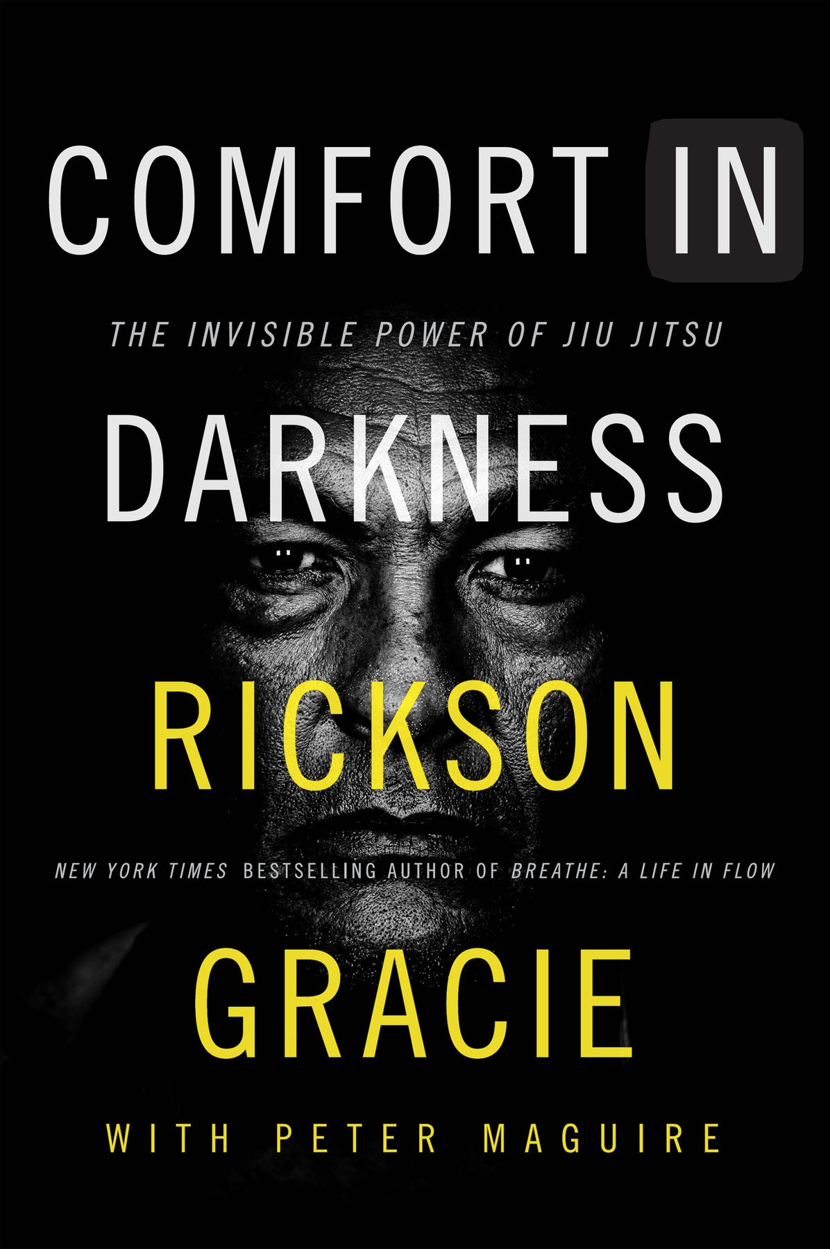 Cover of Comfort in Darkness