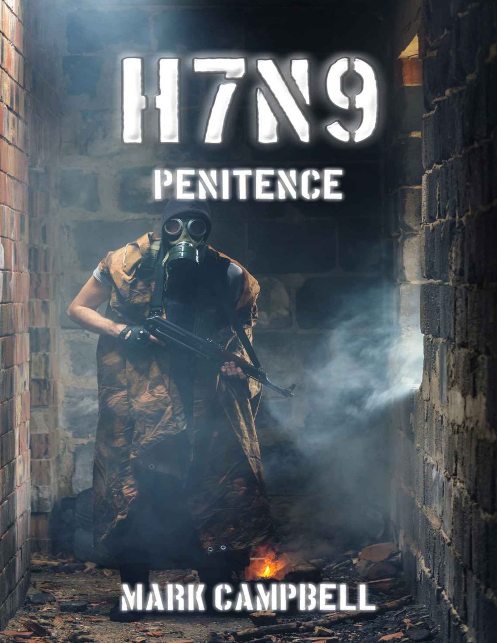 Cover of H7N9 Penitence