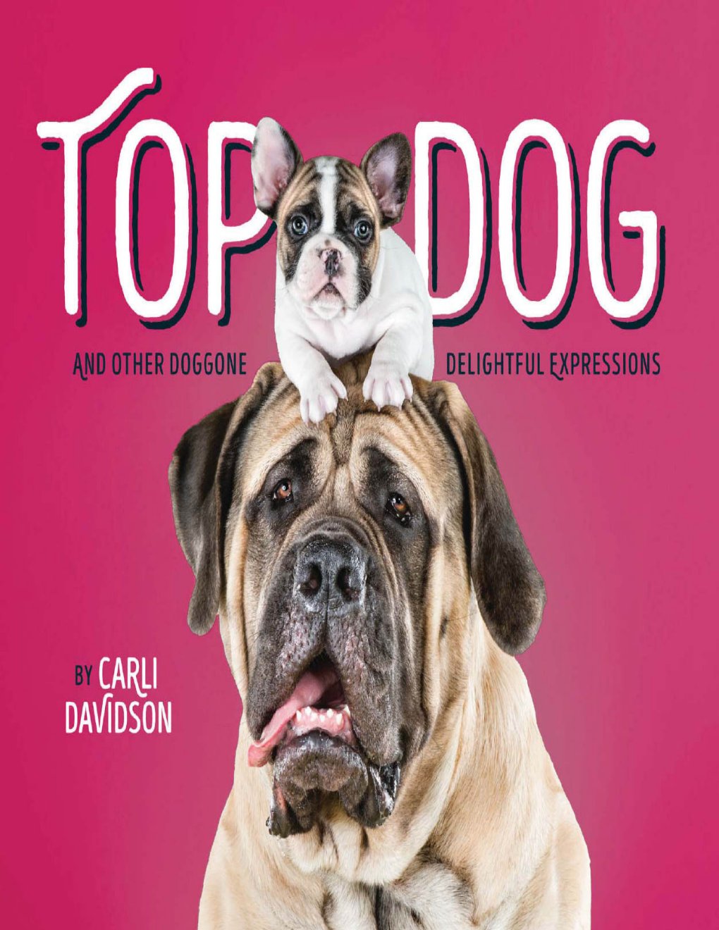 Cover of Top Dog