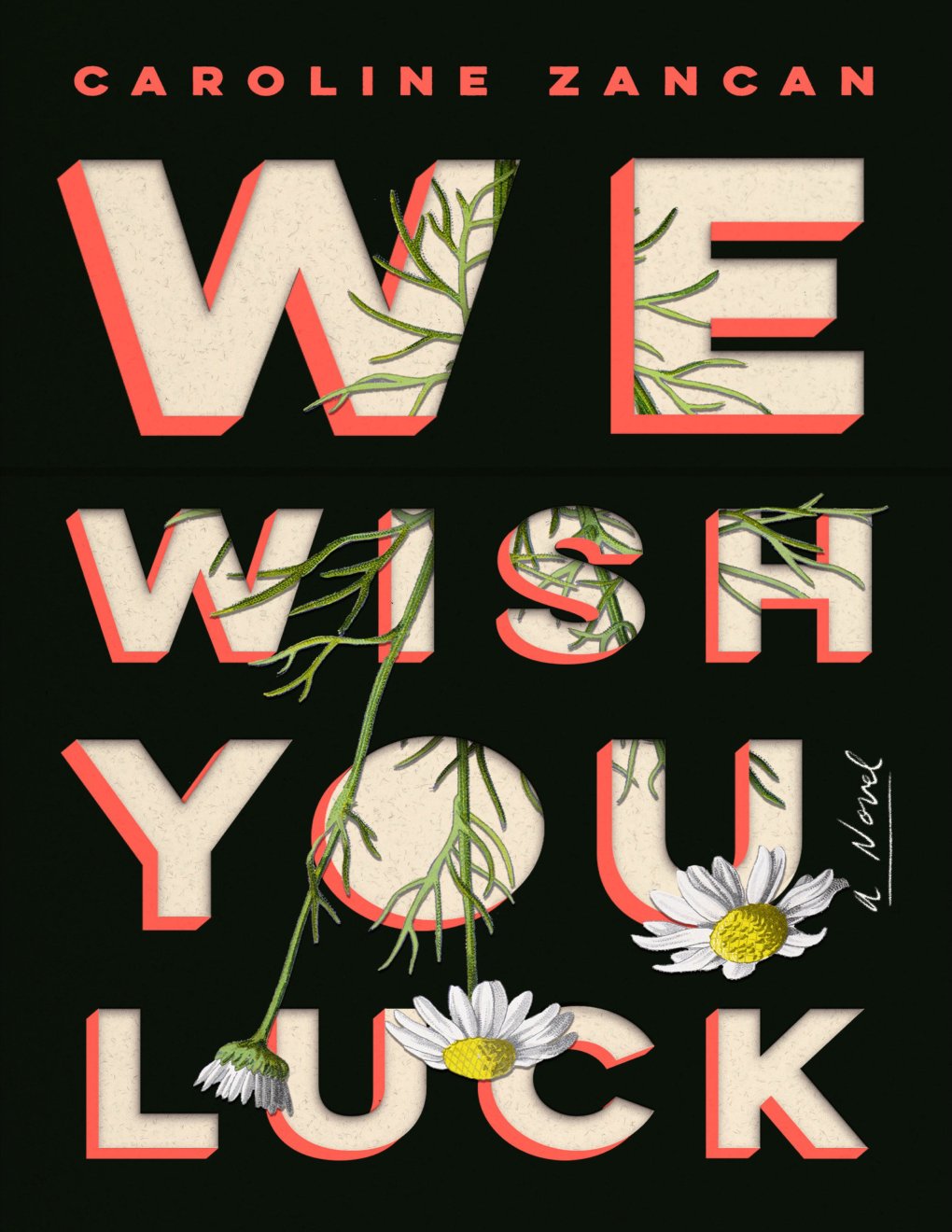 Cover of We Wish You Luck: A Novel