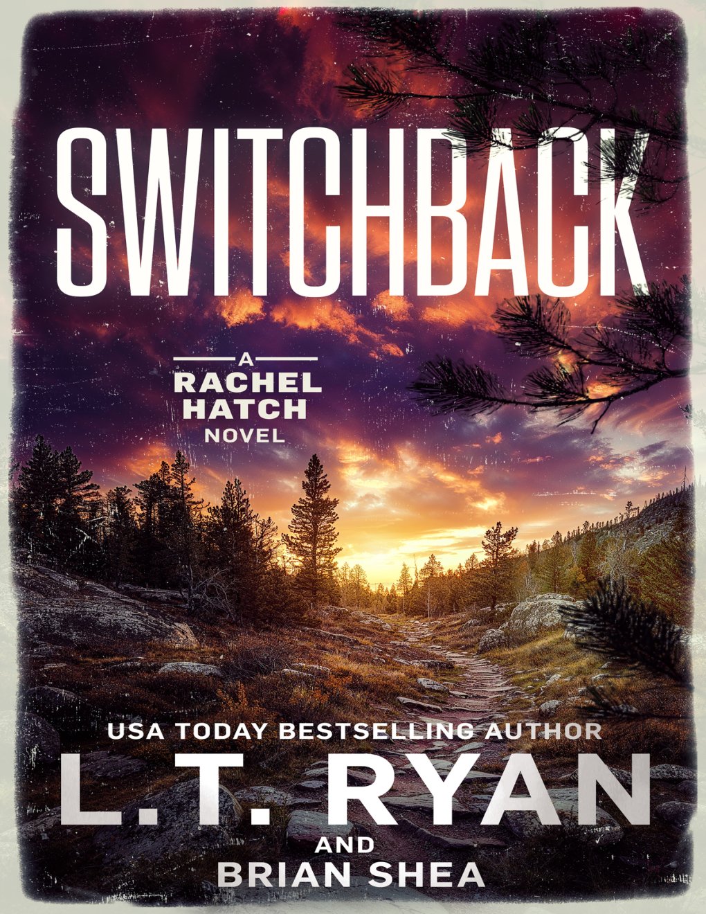 Cover of Switchback (Rachel Hatch Book 15)