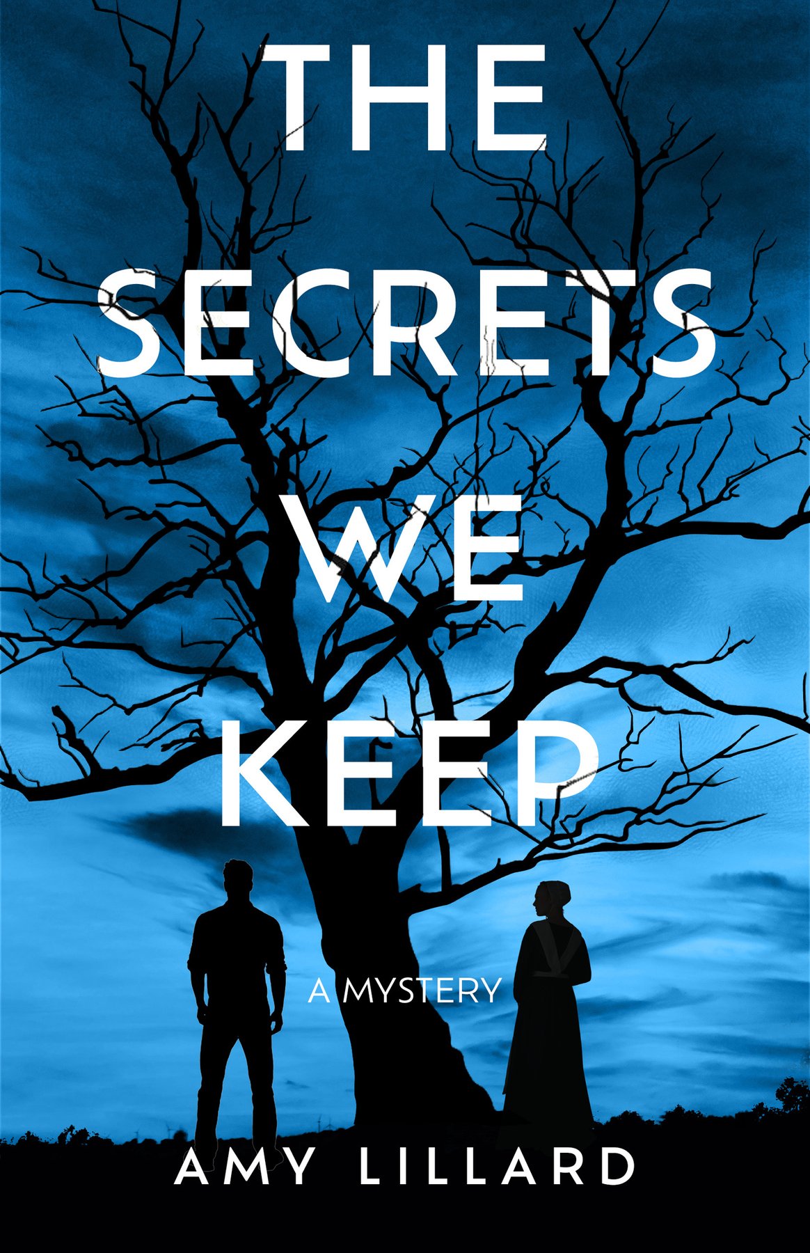 Cover of The Secrets We Keep