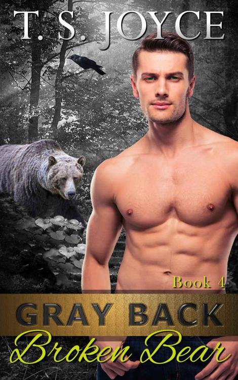 Cover of Gray Back Broken Bear (Gray Back Bears Book 4)