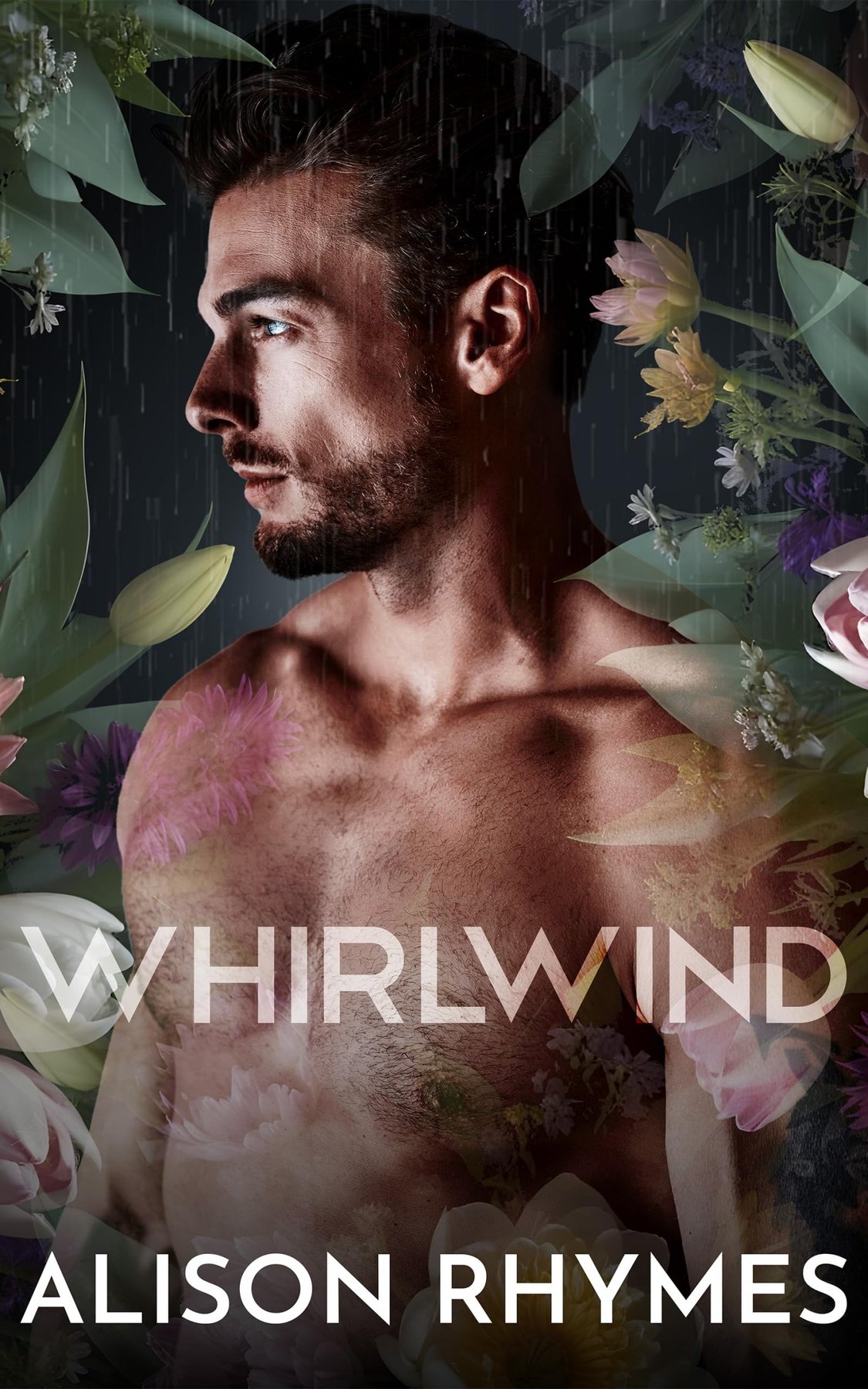 Cover of Whirlwind