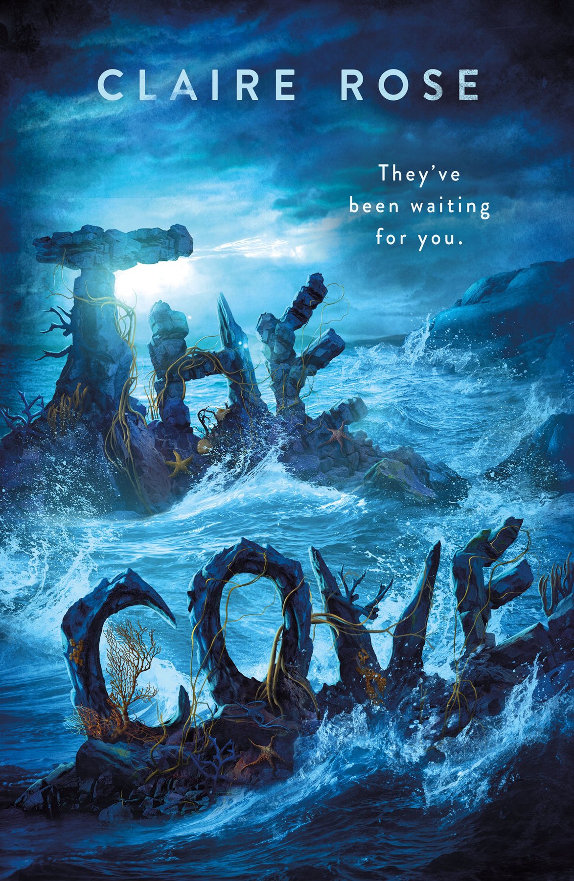 Cover of The Cove