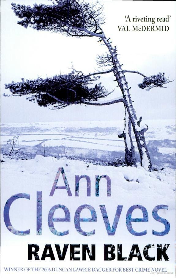 Cover of Raven Black