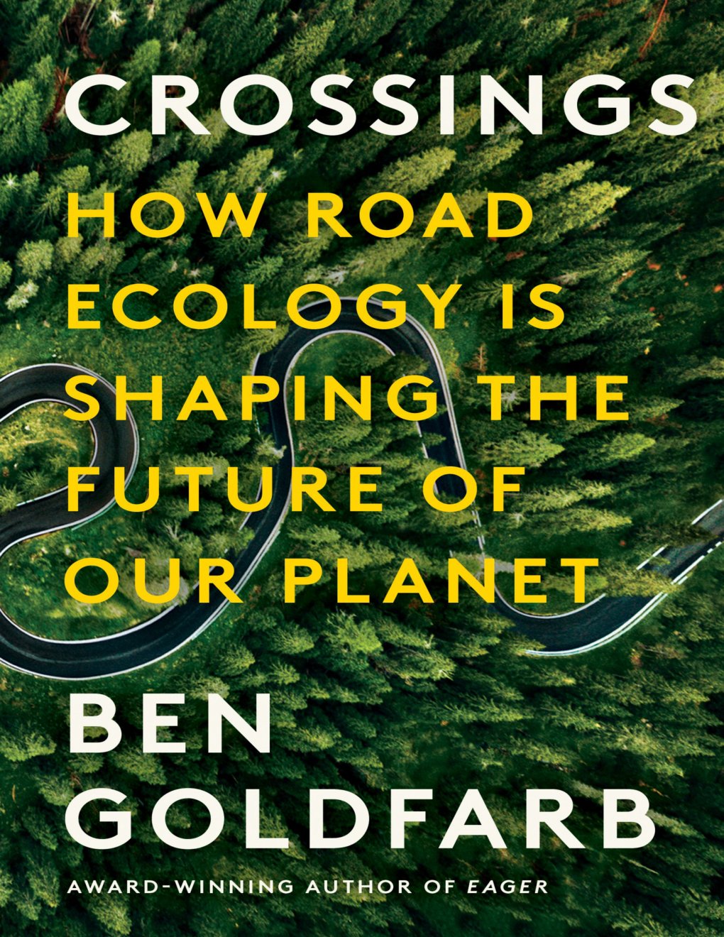 Cover of Crossings