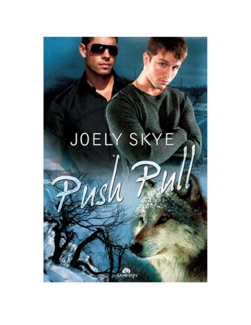 Cover of Push Pull- Wolf Town, Book 2 (1520)