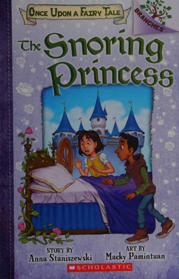 Cover of The snoring princess