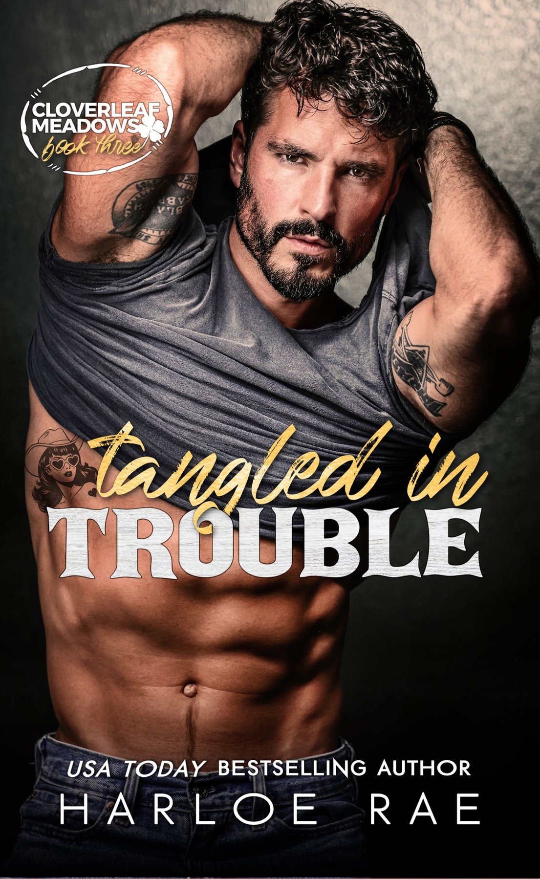 Cover of Tangled in Trouble: A Grumpy Single Dad Small Town Standalone (Cloverleaf Meadows)