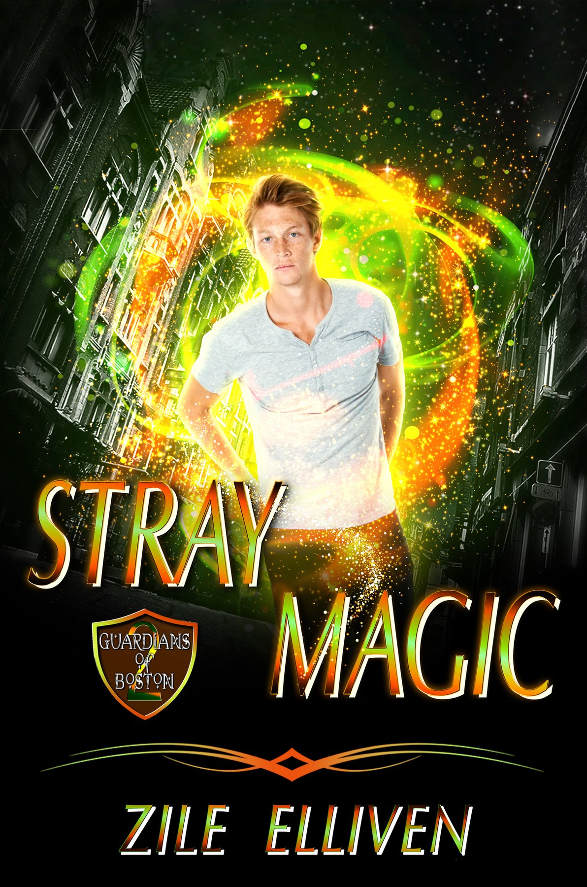 Cover of Stray Magic