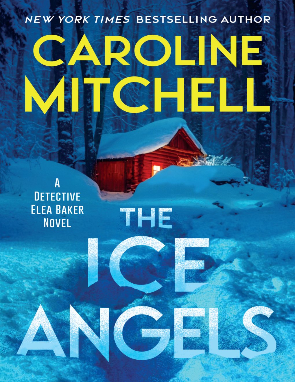 Cover of The Ice Angels