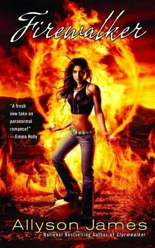 Cover of Firewalker (2010)