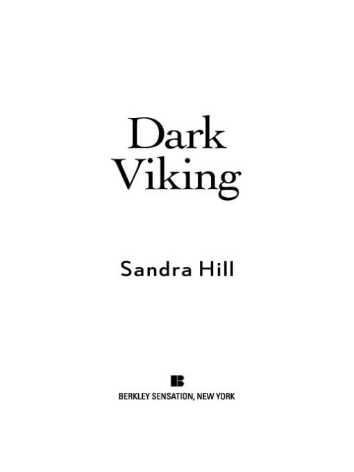 Cover of Dark Viking (2010)