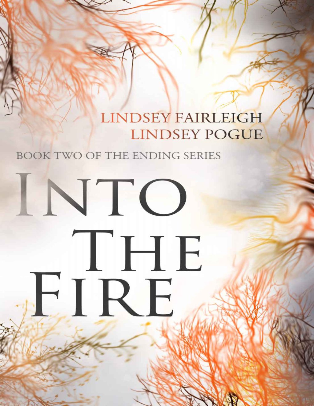 Cover of Into The Fire (The Ending Series)