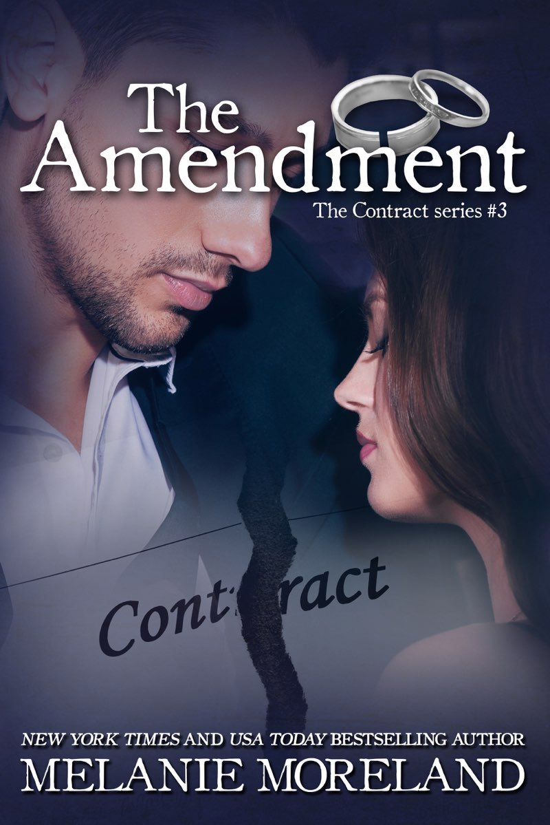 Cover of The Amendment