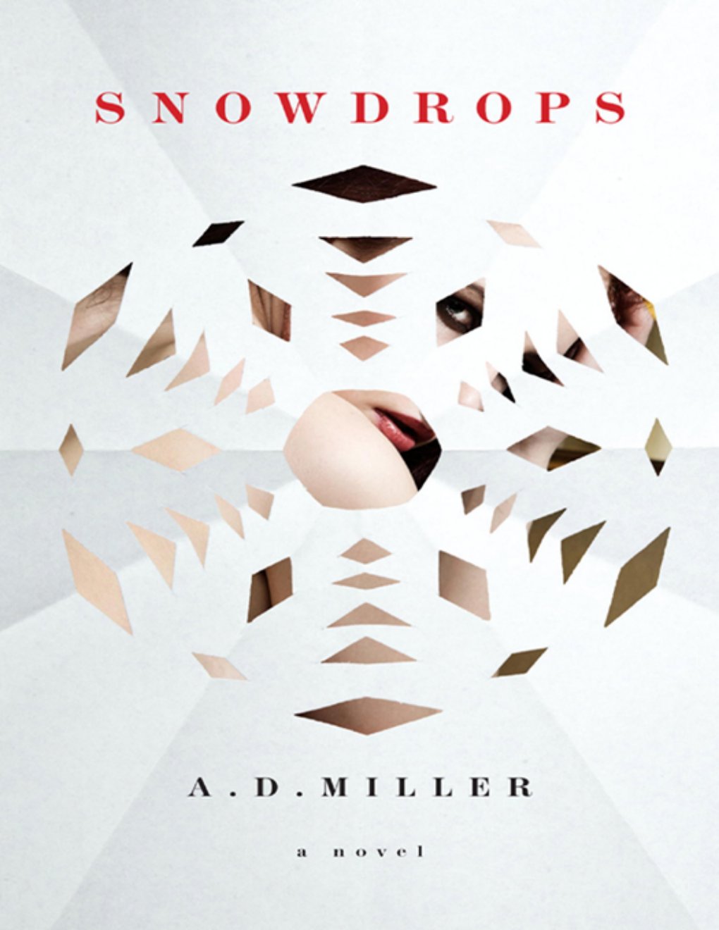 Cover of Snowdrops