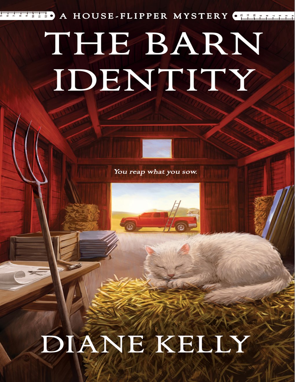 Cover of The Barn Identity