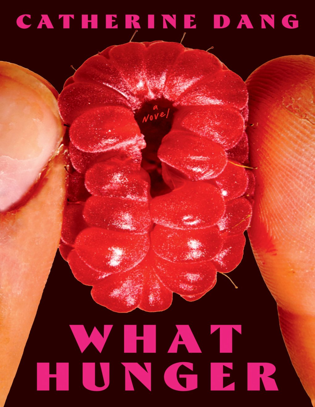 Cover of What Hunger: A Novel