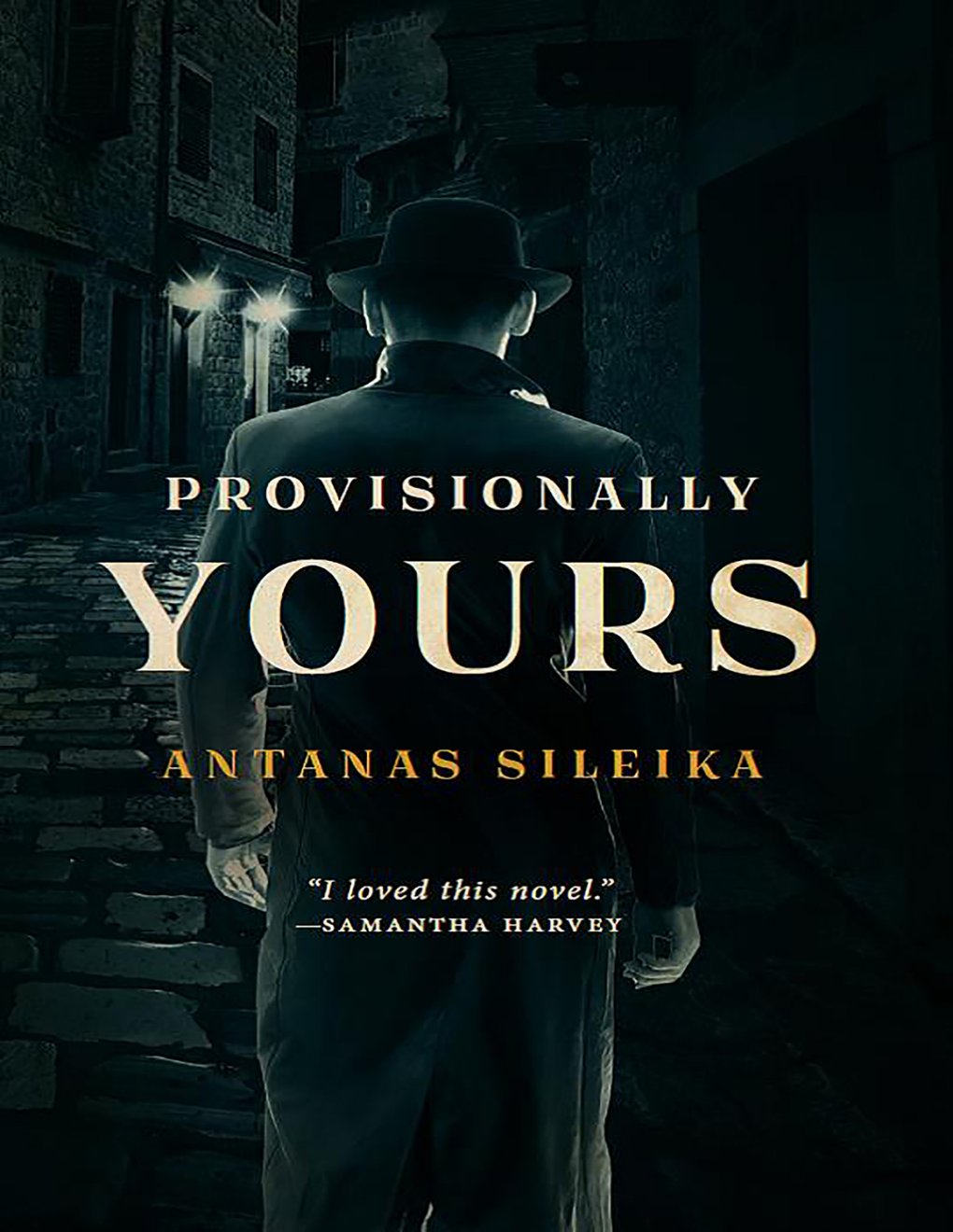 Cover of Provisionally Yours