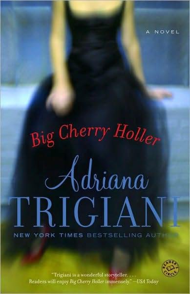 Cover of Big Cherry Holler