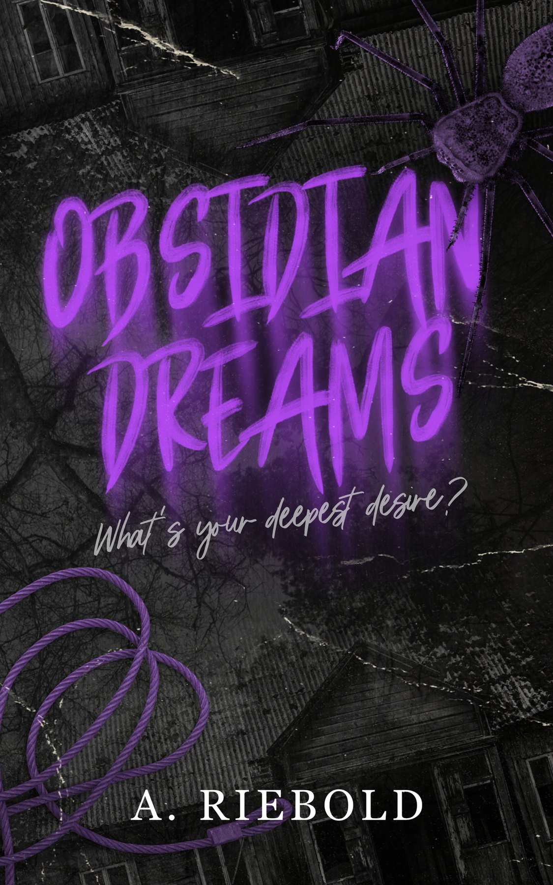 Cover of Obsidian Dreams