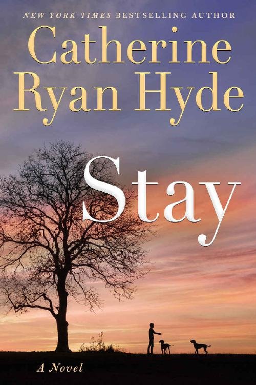 Cover of Stay (1999)