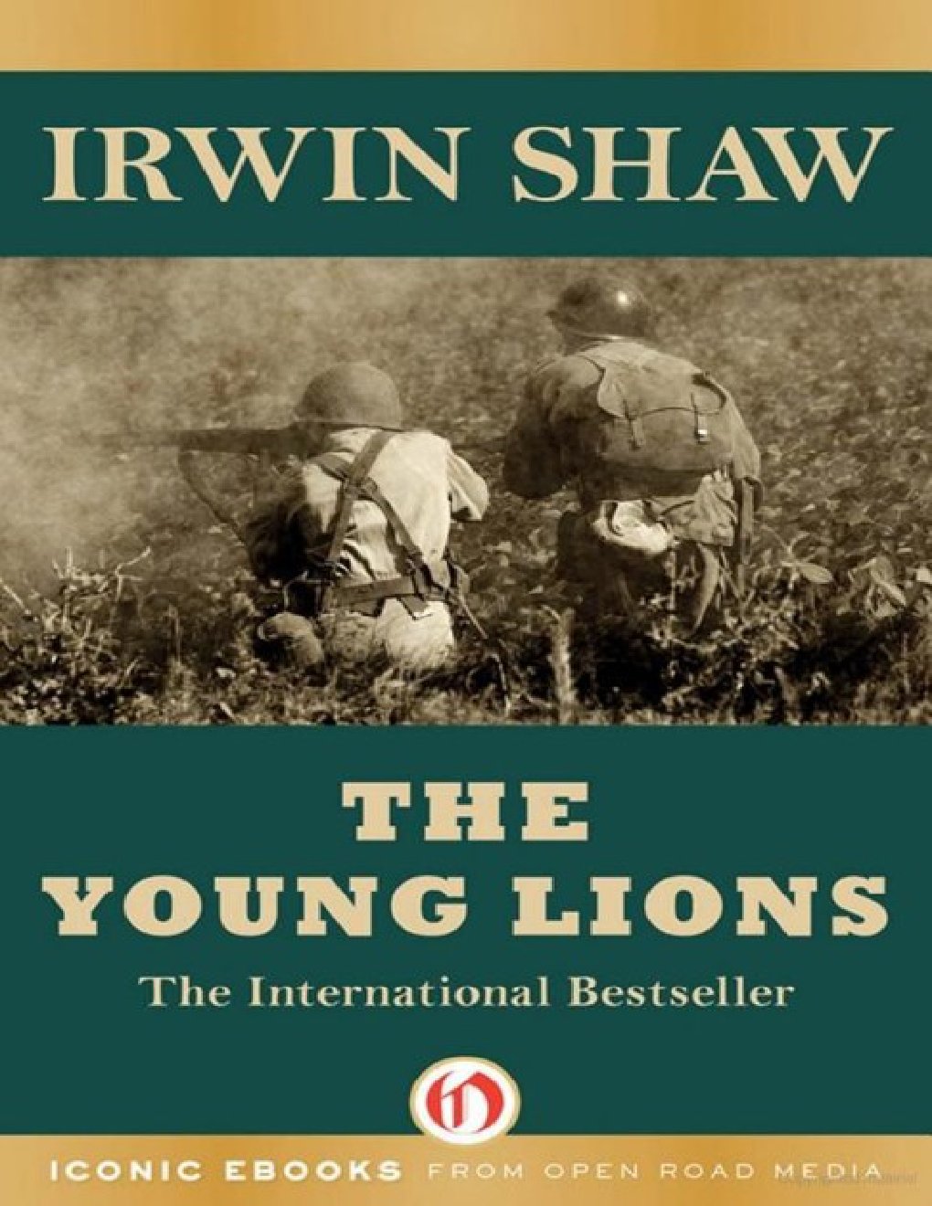 Cover of The Young Lions (1916)