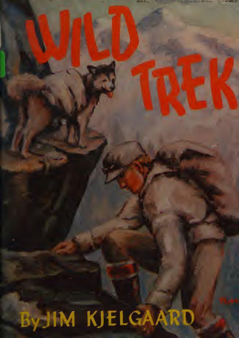 Cover of Wild trek