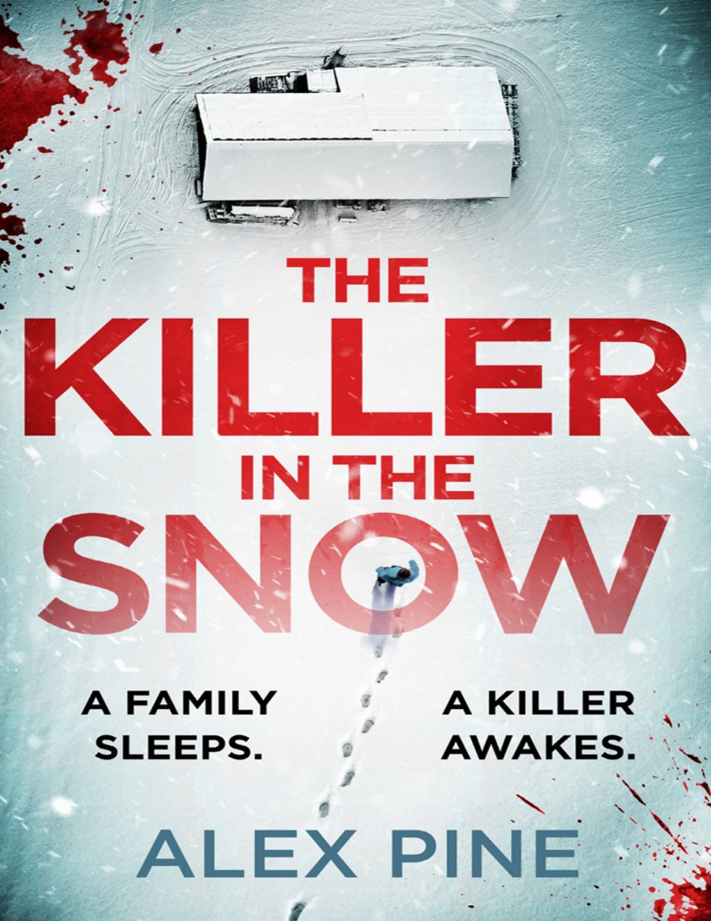 Cover of The Killer in the Snow