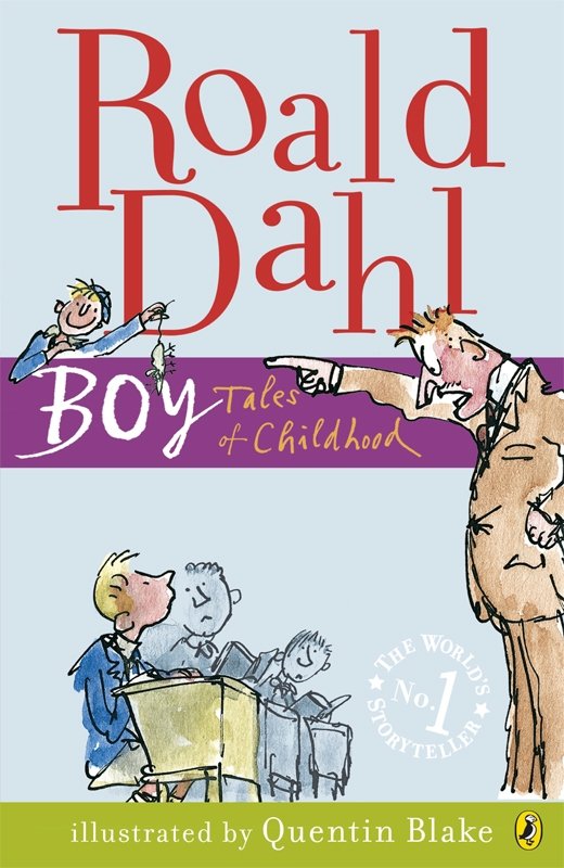 Cover of Boy (2008)