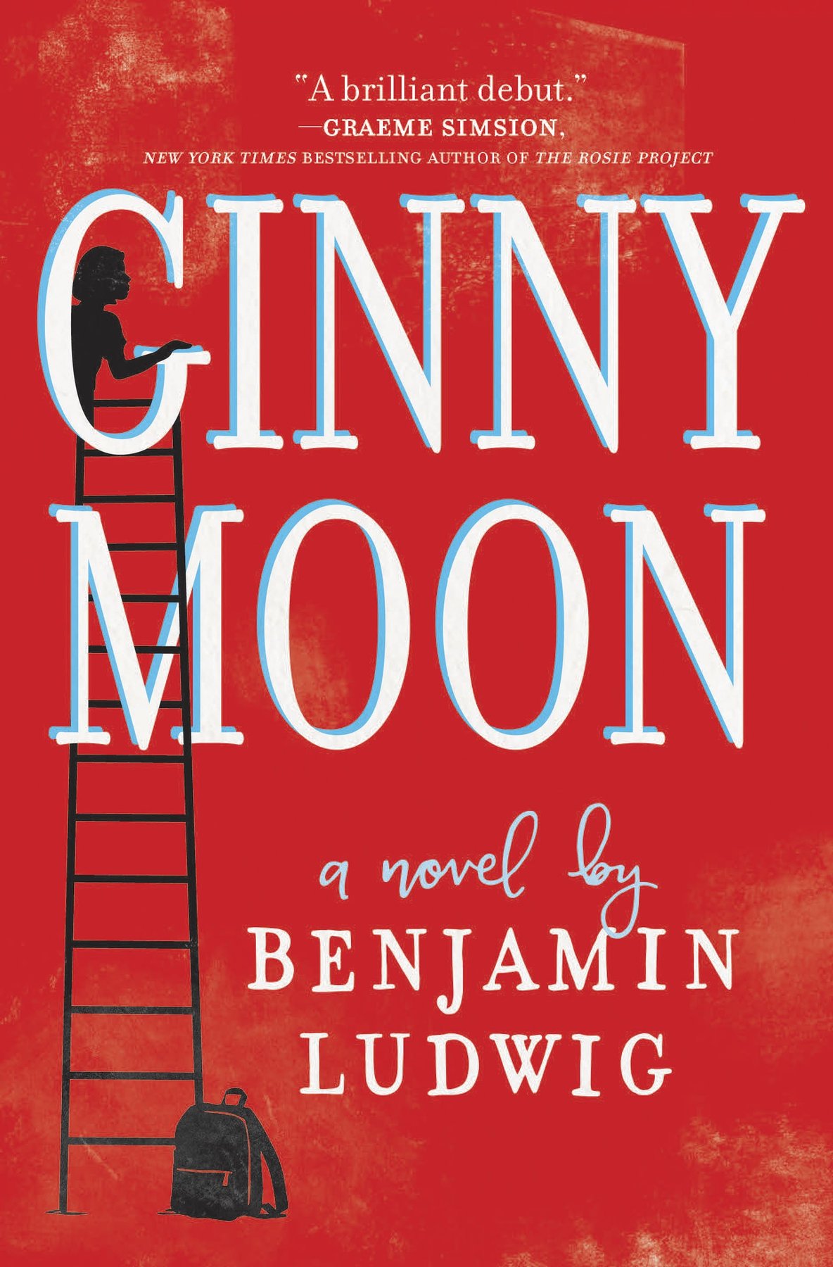 Cover of Ginny Moon (2017)