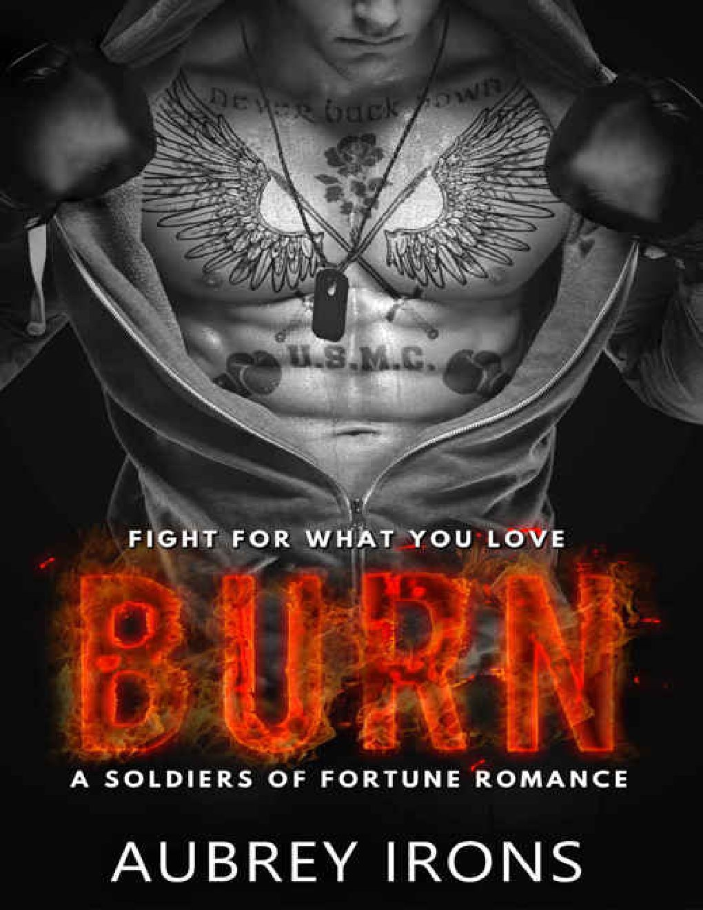 Cover of Burn