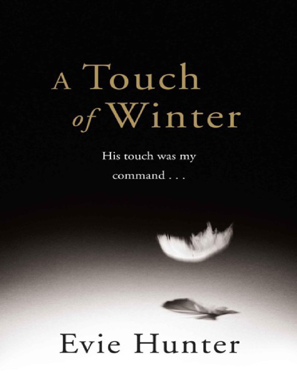 Cover of A Touch of Winter