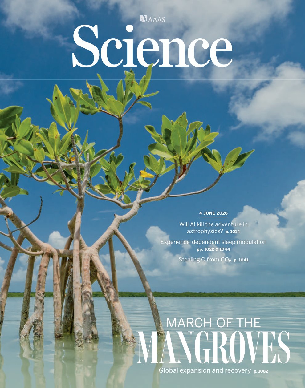 Cover of MANGROVES