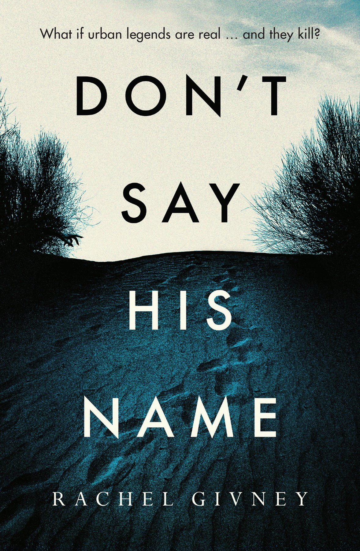 Cover of Don’t Say His Name