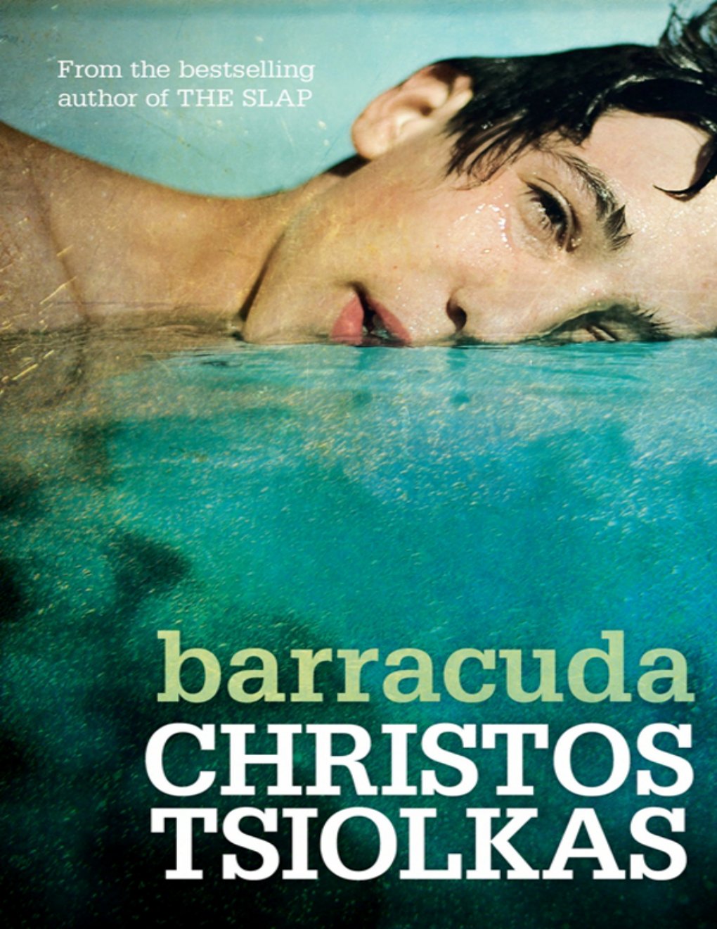 Cover of Barracuda