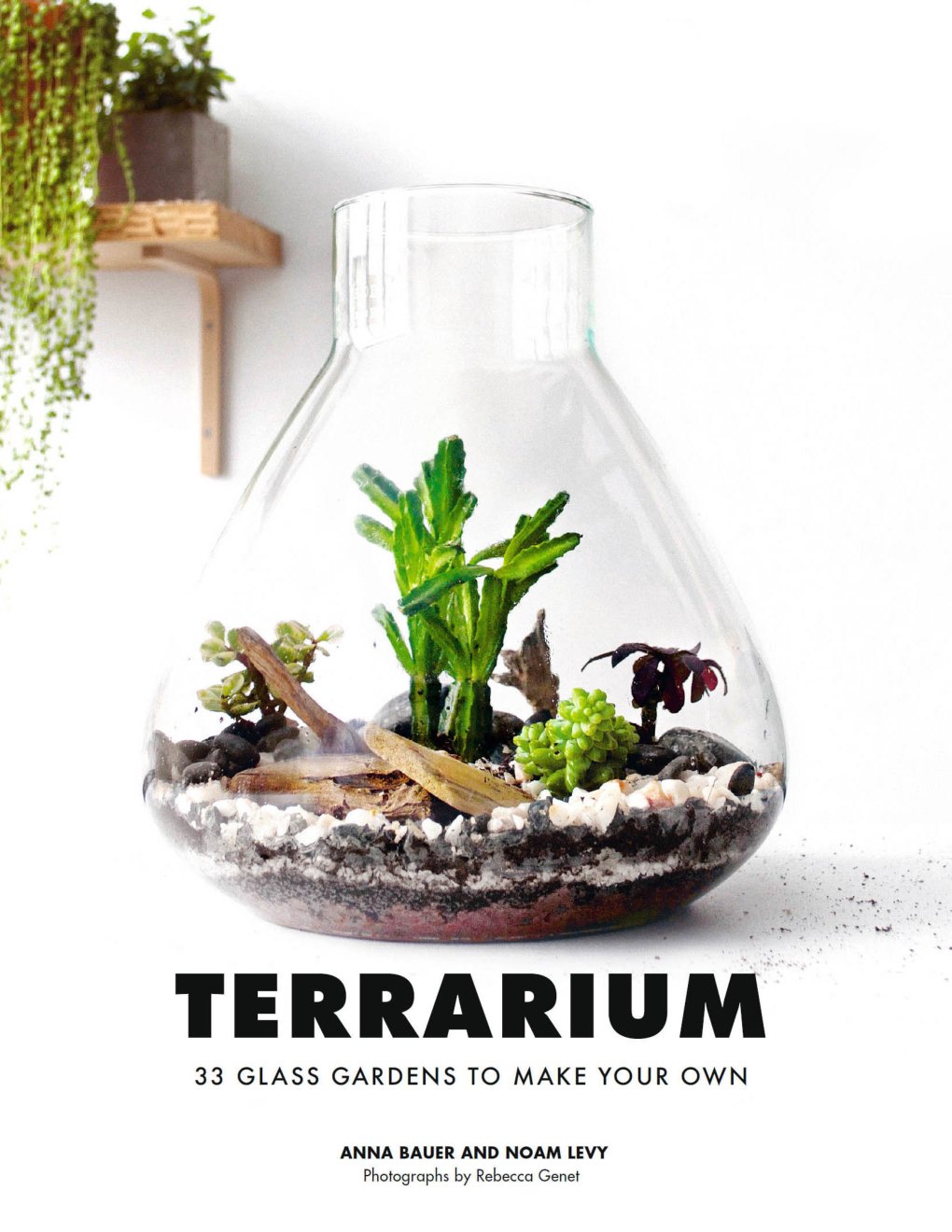 Cover of Terrarium
