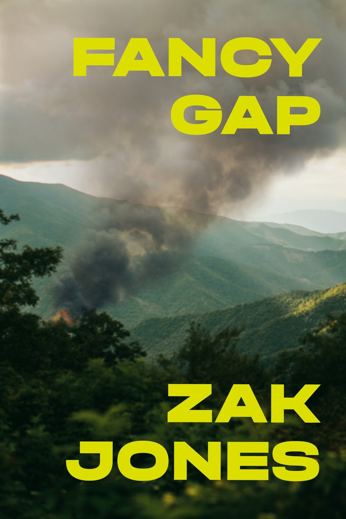 Cover of Fancy Gap