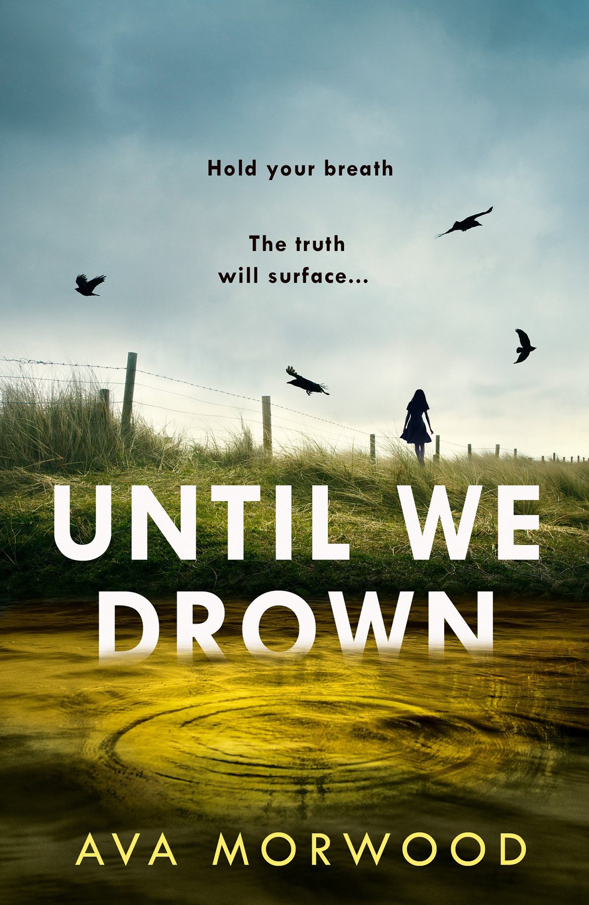 Cover of Until We Drown (2000)