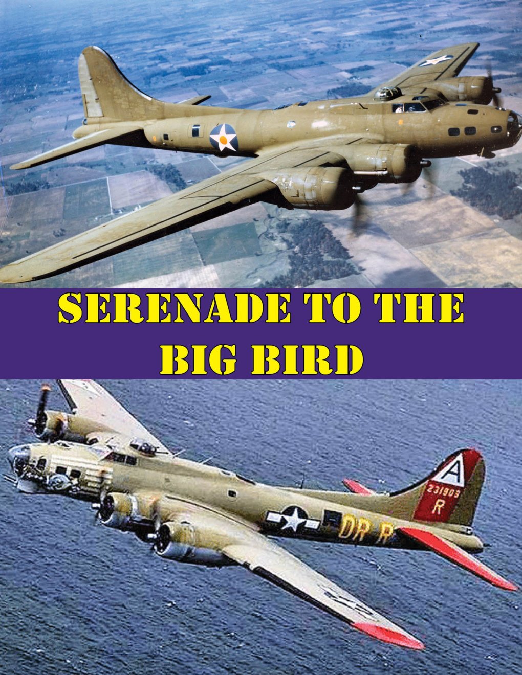 Cover of Serenade to the Big Bird