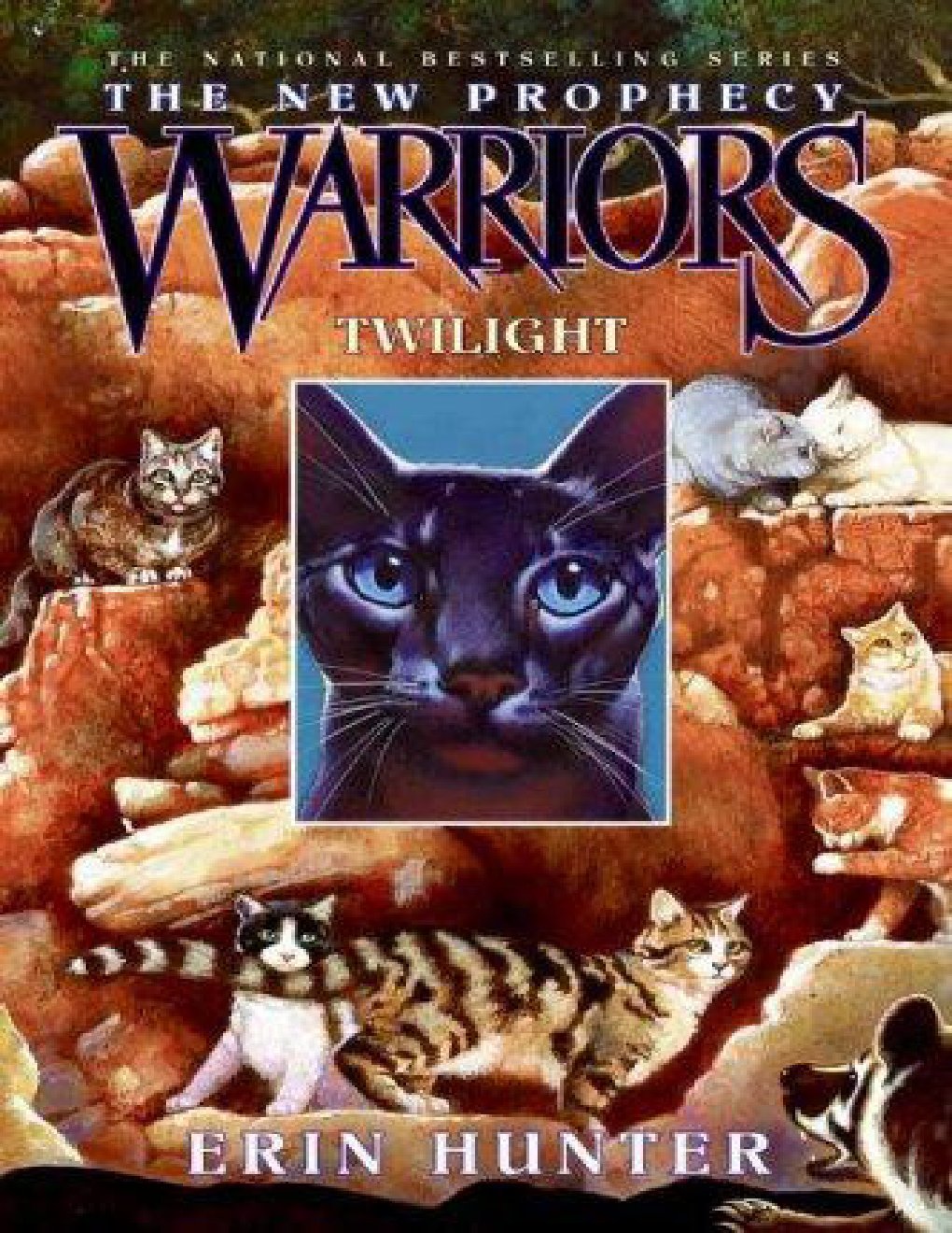 Cover of Twilight
