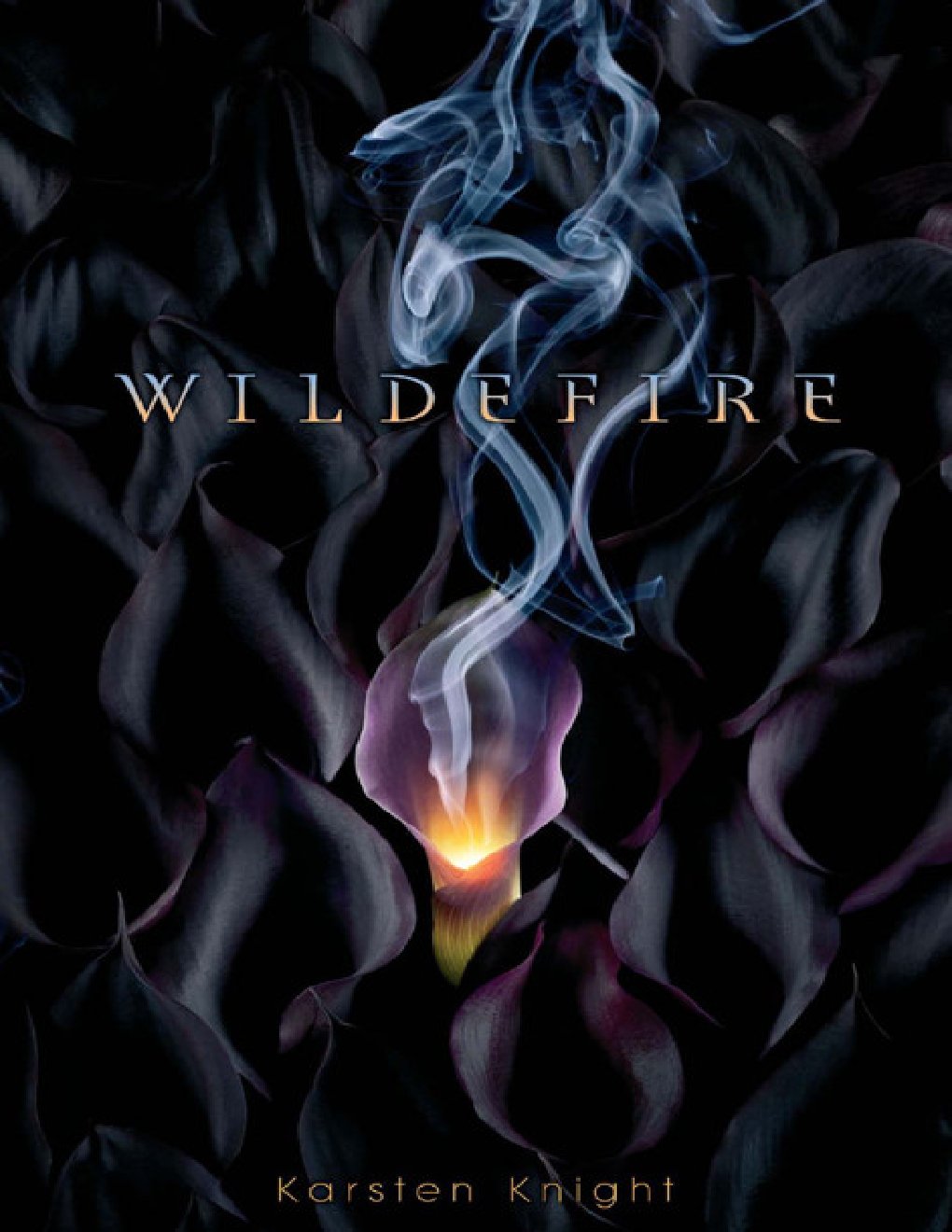 Cover of Wildefire