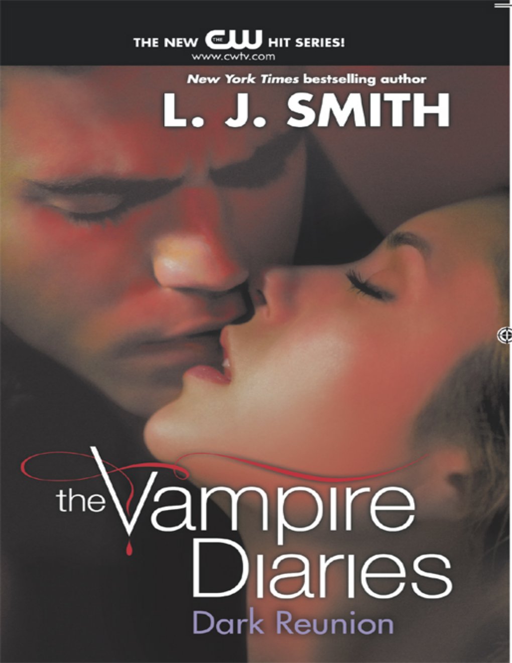 Cover of The Dark Reunion (2010)