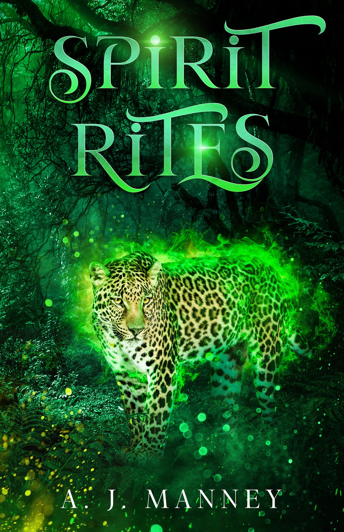 Cover of Spirit Rites (1988)