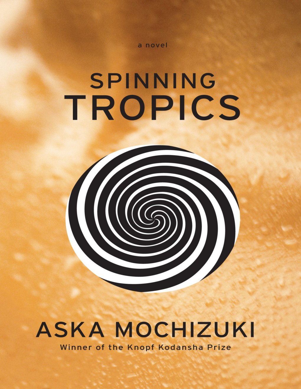 Cover of Spinning Tropics