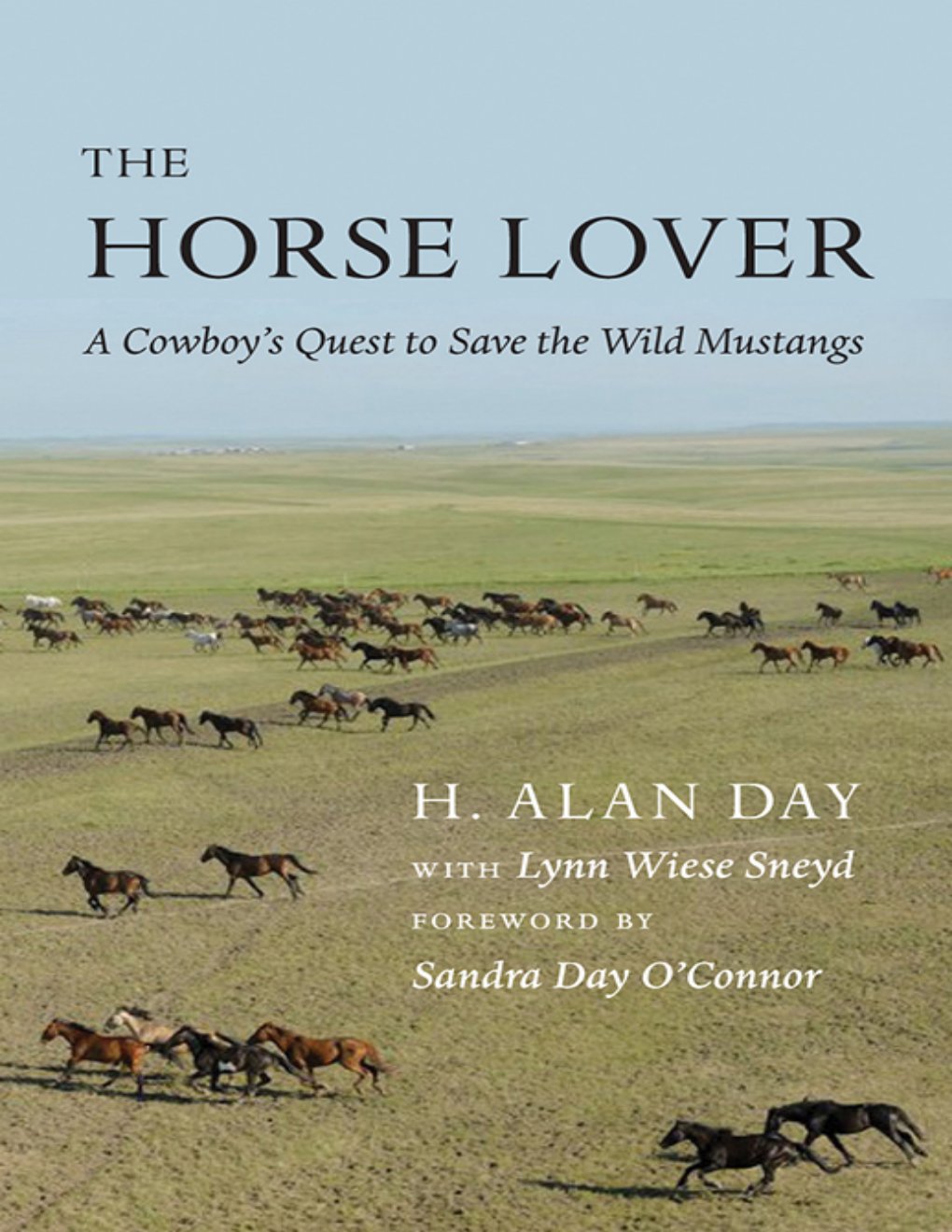 Cover of Horse Lover