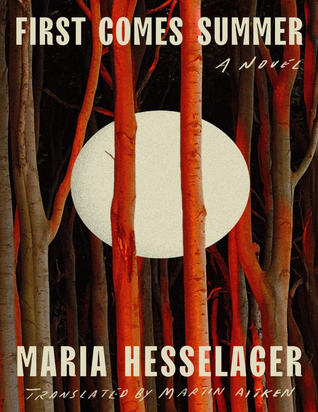 Cover of First Comes Summer: A Novel