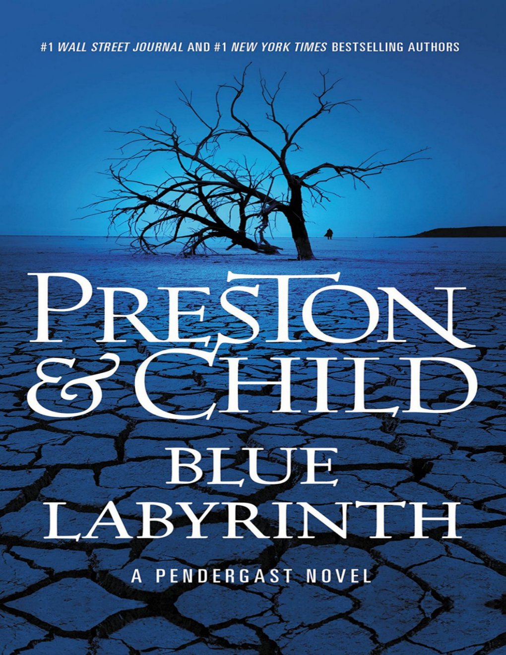 Cover of Blue Labyrinth