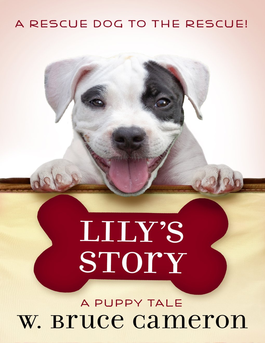 Cover of Lily's Story